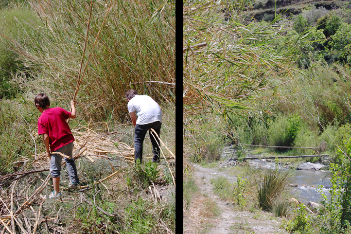 Kids playing with cane by the river